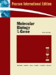 Molecular Biology of the Gene 6/e 詳細資料
