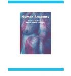 Human Anatomy 詳細資料