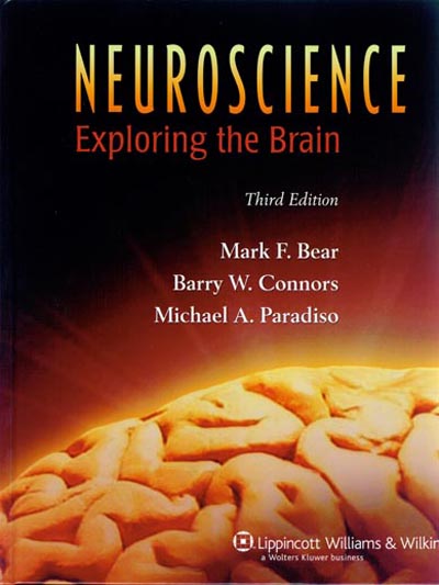 Neuroscience: Exploring the Brain 詳細資料